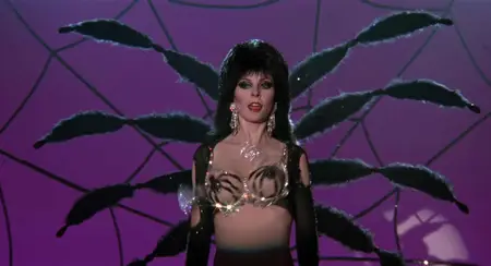 Elvira: Mistress of the Dark (1988)