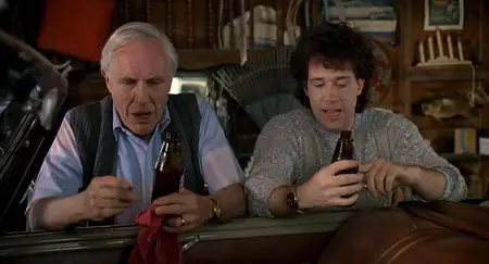 Parenthood (1989)
