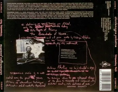 Charlemagne Palestine - Strumming music (1995)