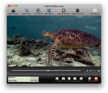JS8 Media ReelBean v5.9 Mac OS X