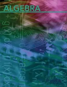 Algebra. Volume 2 (Repost)