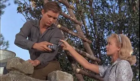 Those Calloways (1965)