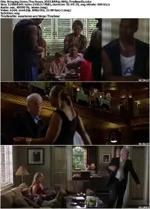 Bringing Down The House (2003)