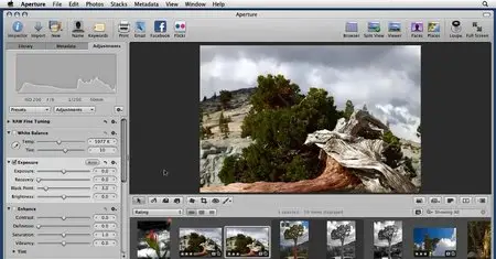 Aperture 3 Essential Training (Repost)