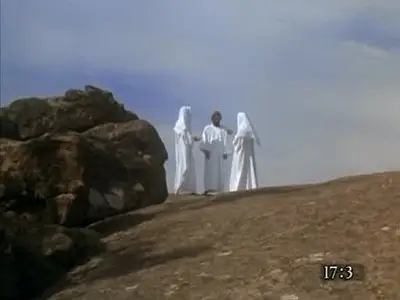 The Visual Bible : Matthew (1993)