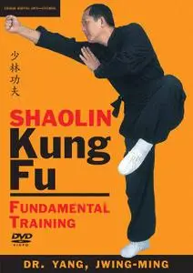 Shaolin Kung Fu Fundamental Training, Course 2