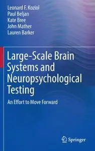 Large-Scale Brain Systems and Neuropsychological Testing: An Effort to Move Forward