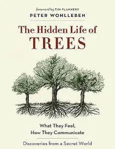 The Hidden Life of Trees