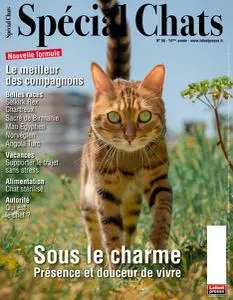 Spécial Chats - Juillet-Septembre 2022