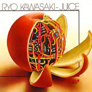 Ryo Kawasaki: Collection (1976)