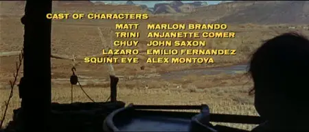 The Appaloosa (1966)