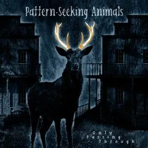 Pattern-Seeking Animals - Only Passing Through (2022) [Official Digital Download 24/96]