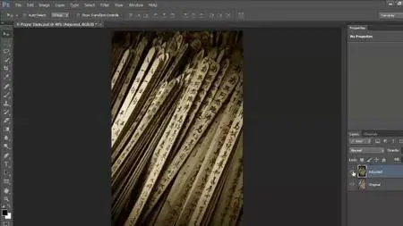 Photoshop CS6: Optimal Output