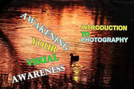Introduction to Photography: Awakening your Visual Awareness