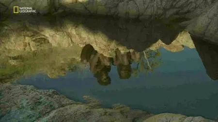 National Geographic - The Two Million Year Old Boy (2011)