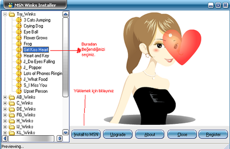 600 Wink For Msn Messenger