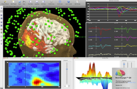 BrainVoyager QX v2.6.0
