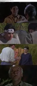 The Karate Kid, Part III (1989)