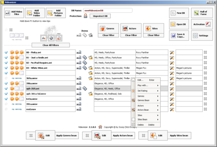 SUU Design Videonizer 2.1.0.9 Platinium