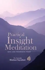 Practical Insight Meditation: Basic and Progressive Stages