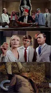 The Mummy's Shroud (1967)