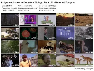 Assignment Discovery - Elements of Biology - Matter and Energy