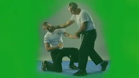 Krav Maga - Official Program Fekm Green Belt