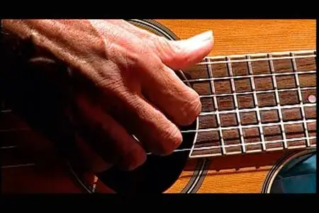 V.A. - Bossa Nova: In Concert (2008)