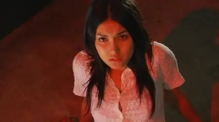 Maids Secret: Welcome Home (2007)