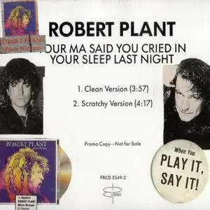 Robert Plant: Singles Collection (1988-2002)