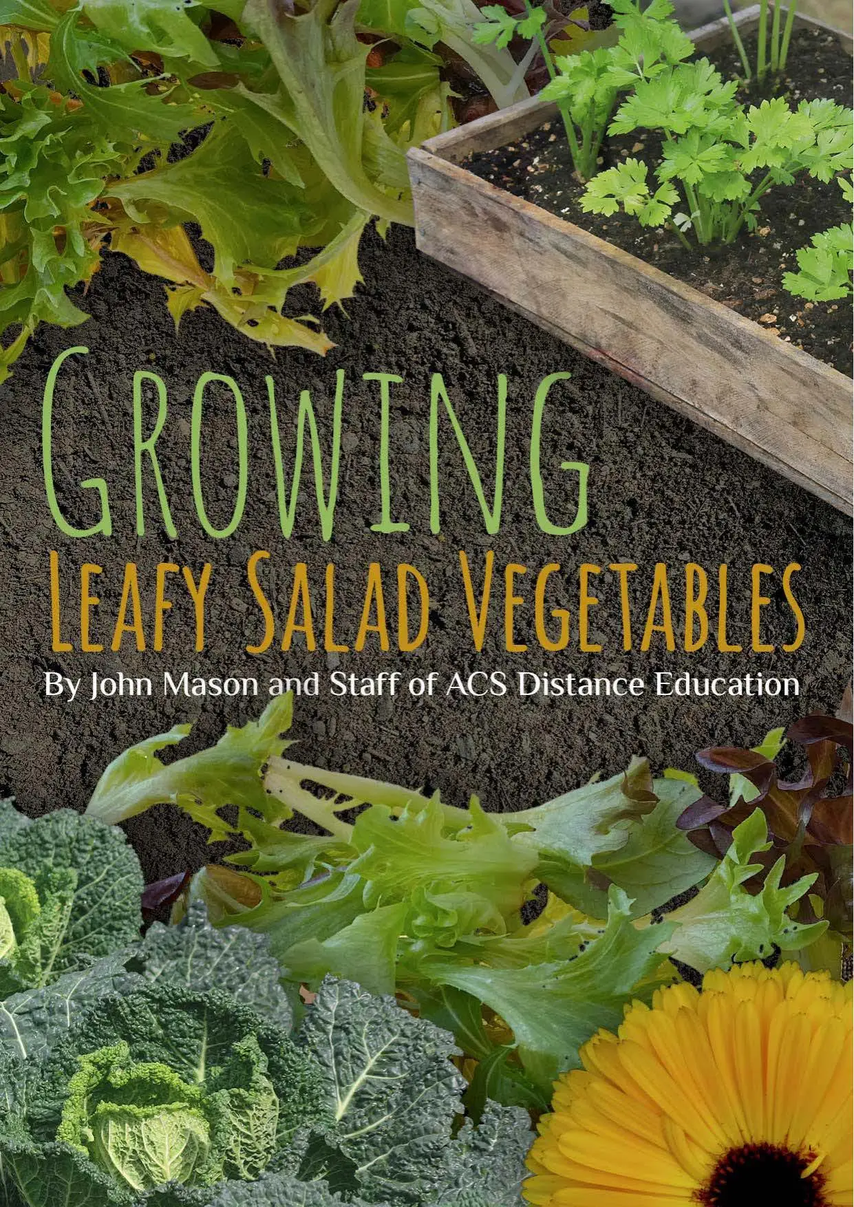 Growing Leafy Salad Vegetables / AvaxHome
