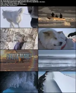 David Attenborough Frozen Planet S01E06 The Last Frontier