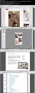 Designing Mobile Apps: How to Transition from Traditional Web Design