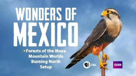 Wonders of Mexico (2018)