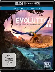 Evolution 4K (2018)