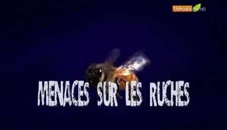 (Ushuaïa) Menaces sur les ruches (2011)