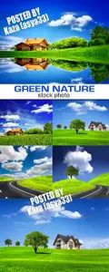 Green nature 7