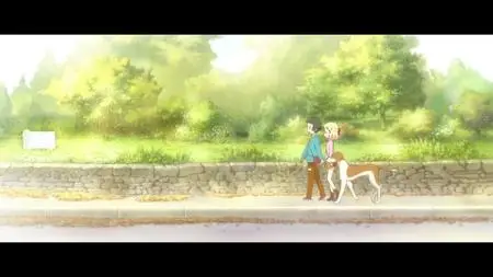 Kin`iro Mosaic (2013,2015)