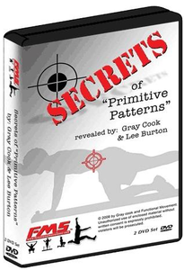 Gray Cook - Secrets of Primitive Patterns (2 DVD-set)