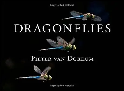 Dragonflies: Magnificent Creatures of Water, Air, and Land