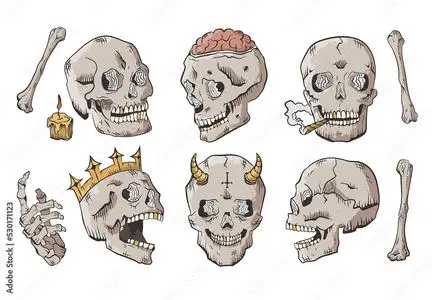Skull Skeleton Illustrations 530171123