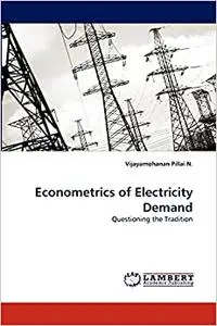 Econometrics of Electricity Demand - Questioning the Tradition