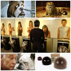 61 Funny Pics