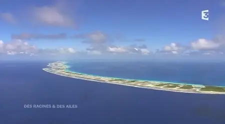 (Fr3) Des racines et des ailes : Passion patrimoine - En Polynésie, de Tahiti aux Marquises (2014)