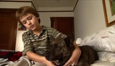 First Dog (2010)