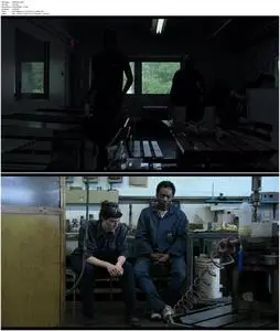 Joy of Man's Desiring (2014)