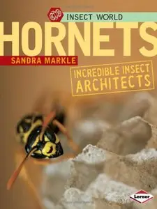 Hornets: Incredible Insect Architects