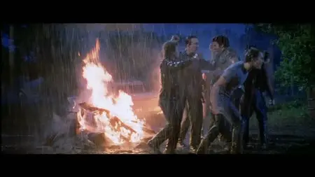 The Outsiders (1983)