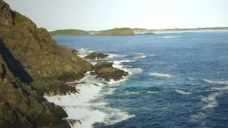 Atlantic - The Wildest Ocean on Earth: S01E01 - Life Stream (2015)
