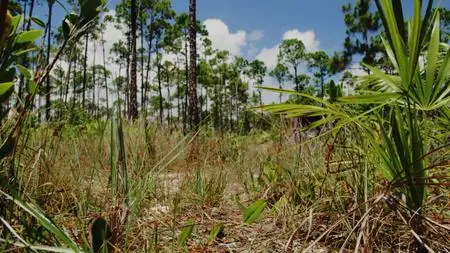 Extinct or Alive S02E04